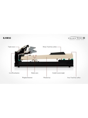 Kawai CA901 White - Img2