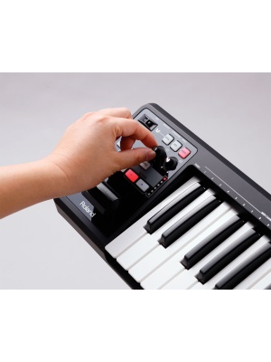 Roland A-49 - Img4