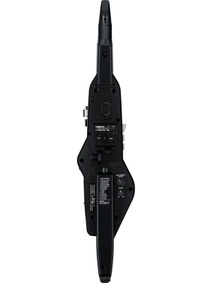 Roland Aerophone AE-20 - Img4