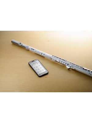 Roland Aerophone Brisa - Img8