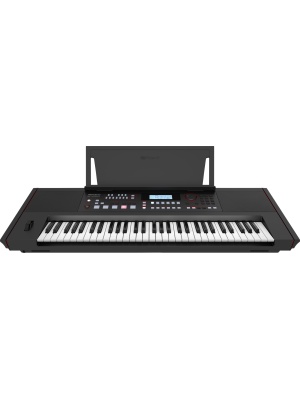 Roland E-X50 - Img4