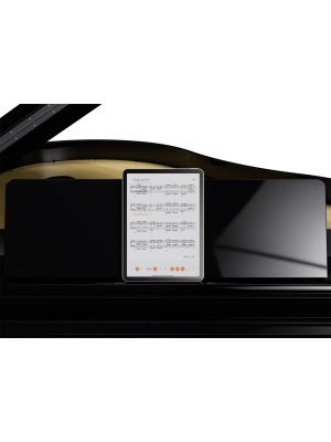 Roland GP‑9 Polished Ebony - Img11