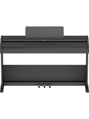 Roland RP107 - Img5
