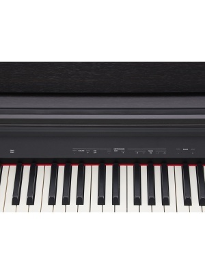 Roland RP30 - Img8