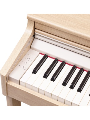Roland RP701-LA - Img5