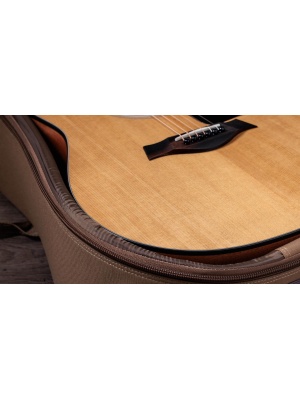 Taylor 117e Sapele - Img4