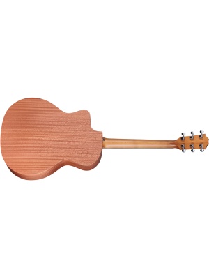Taylor 14ce - Img2