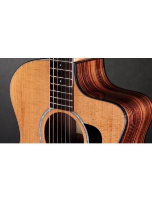 Taylor 214ce Plus - Img5