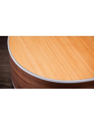 Taylor 214ce - Img4