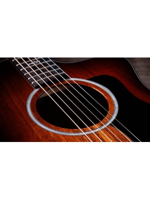 Taylor 224ce-K DLX - Img6