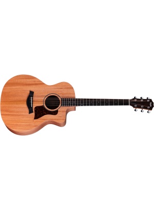 Taylor 24ce