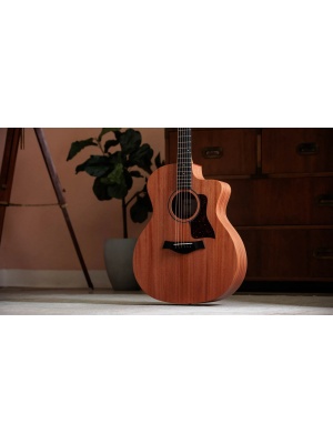 Taylor 24ce - Img11