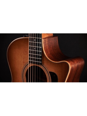 Taylor 314ce Studio SEB - Img4