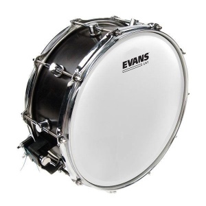 UV1 Coated 14" Evans B14UV1 - Img2