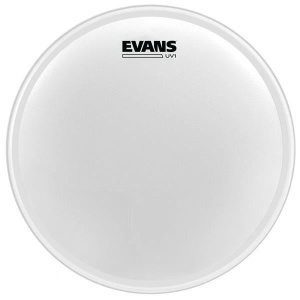 UV1 Coated 22" Evans BD22UV1 - Img1