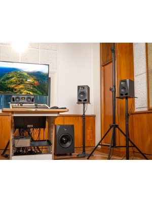 Adam Audio Sub12 - Img5