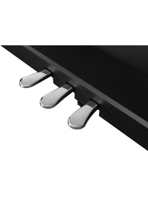 Kawai CX102B - Img6