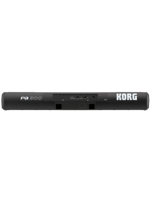 Korg PA300 - Img5