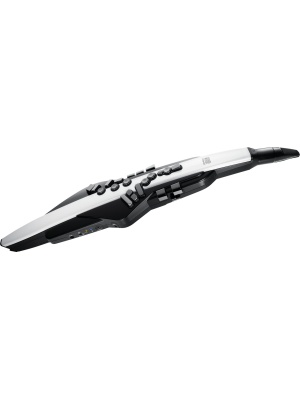 Roland Aerophone AE-20