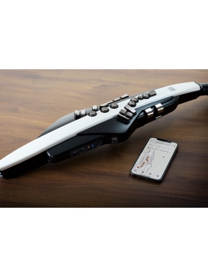 Roland Aerophone AE-20 - Img11