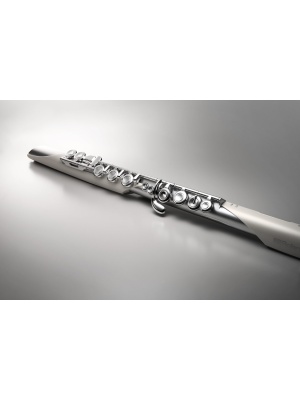 Roland Aerophone Brisa - Img5