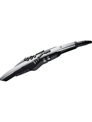 Roland Aerophone Pro (AE-30)
