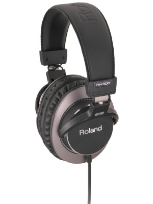 Roland RH-300