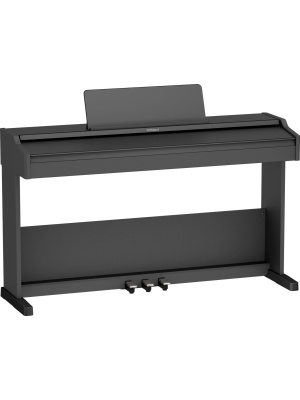 Roland RP107 - Img2