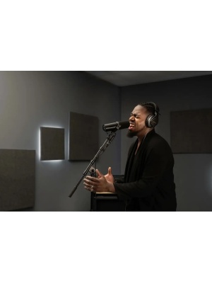 Shure SM7dB - Img6