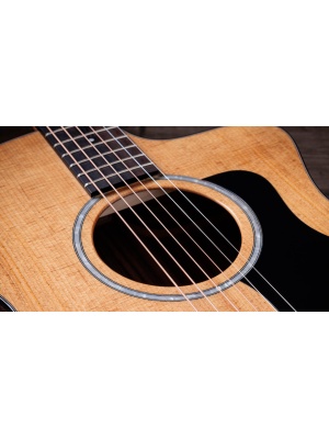 Taylor 214ce Plus - Img6