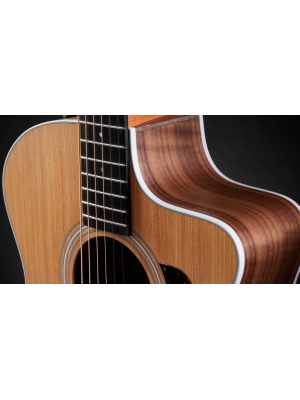 Taylor 214ce - Img5
