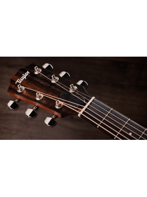 Taylor 314ce Studio SEB - Img5