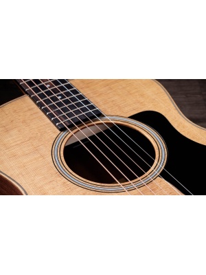 Taylor GS Mini Sapele/Spruce - Img5