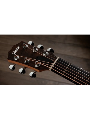 Taylor ZEDD GS Mini-e Special Edition - Img6