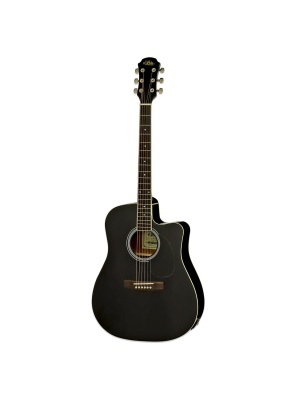 Aria AWN-15CE BK Black