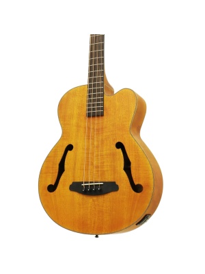 Aria FEB-F2M STBR – Chitară Bas Electro-Acustică Medium Scale Stained Brown - Img3
