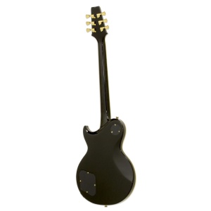 Aria Pro II PE-350 CST AGBK Aged Black - Img2