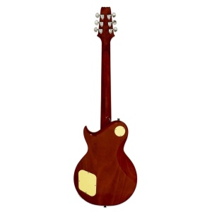 Aria Pro II PE-350 PG AGLD Aged Lemon Drop - Img2