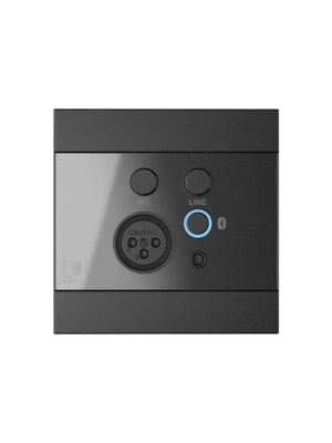 AUDAC WP225