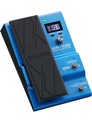 Boss XS-100 - Img2
