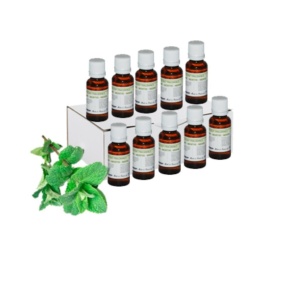 Esenta pentru Lichid de Fum EuroScent - Menta