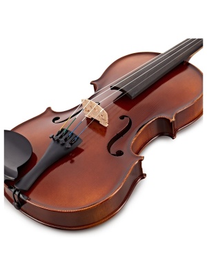 Gewa Allegro VL1 4/4 cu Husă – Instrument de Calitate pentru Începători și Avansați - Img2