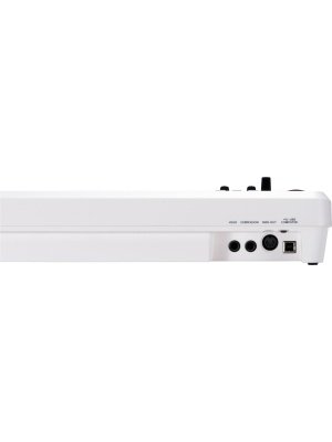 Roland A-49 White - Img3