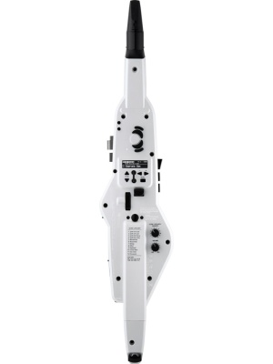 Roland Aerophone AE-20 White - Img4