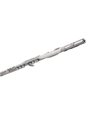 Roland Aerophone Brisa - Img2