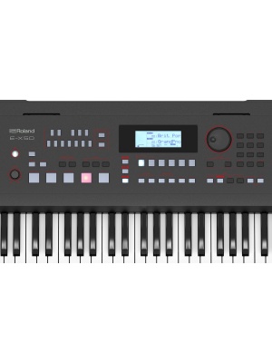 Roland E-X50 - Img8