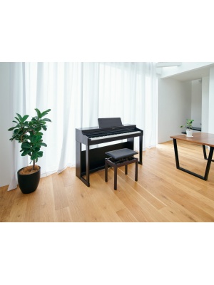Roland RP701-DR - Img7