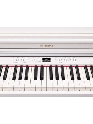 Roland RP701-WH - Img6