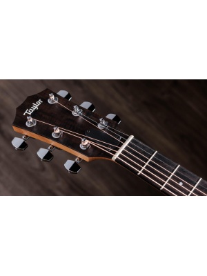 Taylor 117e Sapele - Img6