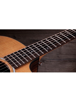 Taylor 214ce Plus - Img7